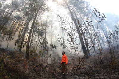 Full length of man standing at smoky forest