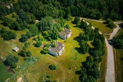 High angle view of trees on field