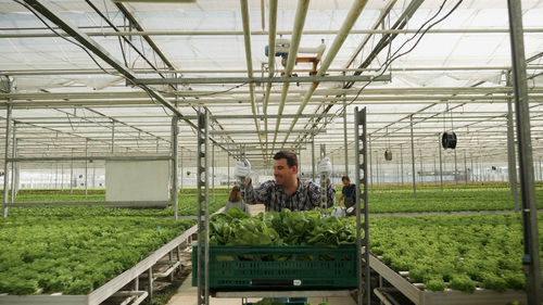 Rear view of man standing in greenhouse
