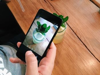 High angle view of green plants