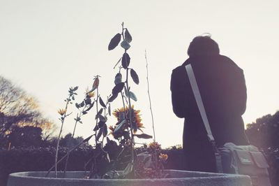 Low angle view of bare trees against clear sky