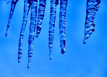 Close-up of icicles against blue sky