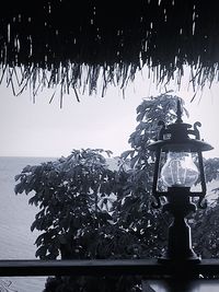 View of trees against sky