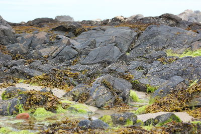 Scenic view of rocky mountains