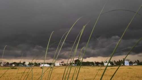 Panoramic view of field against sky
