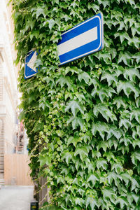 sign