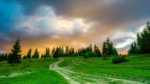 Panoramic shot of road amidst trees against sky