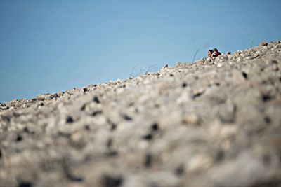Surface level of landscape against clear blue sky