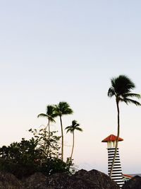 Palm trees on beach against clear sky