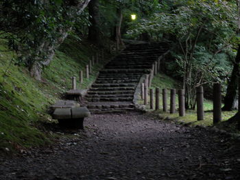 Steps amidst trees at night