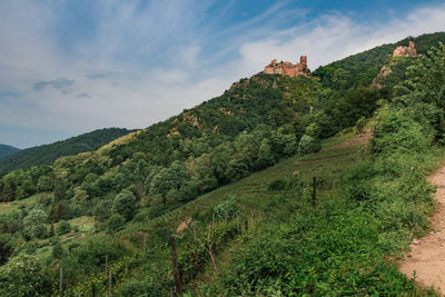 Castles on a mountain near the town of riquewihr in alsace.