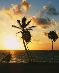 Silhouette palm tree by sea against sunset sky