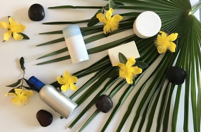 High angle view of yellow flowers on table