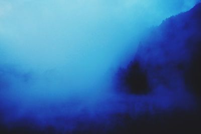 Close-up of silhouette tree against blue sky at night
