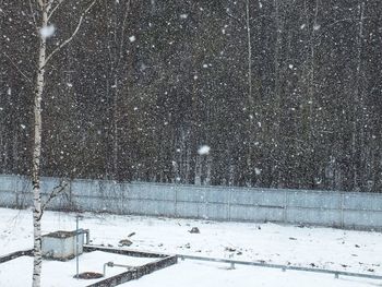 Snow covered field