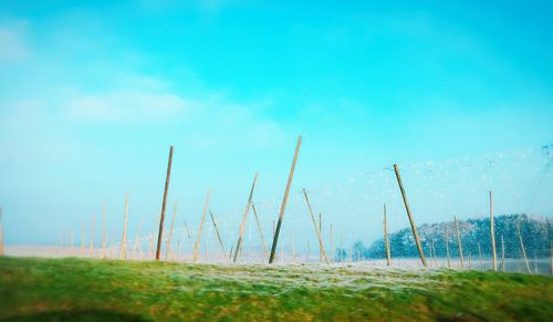 Scenic view of field against clear blue sky