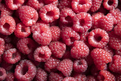 Natural fruit background of fresh raspberries top view, texture of berries