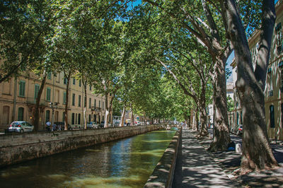 Avenue with sidewalk full of trees and water canal at the city center of nimes. france.