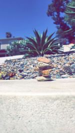 Surface level of stones on beach against clear blue sky