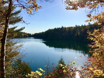 Scenic view of lake in forest against clear sky