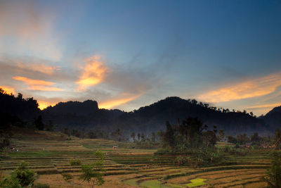 Scenic view of field against sky during sunset