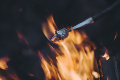 Close-up of fire