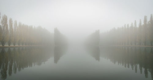 Reflection of trees on water in foggy weather