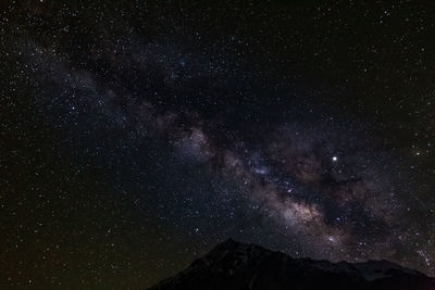 Low angle view of star field against sky at night