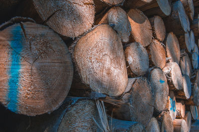 Full frame shot of logs in forest