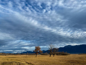Scenic view of field against cloudy and stormy sky at murnauer moos, upper bavaria 