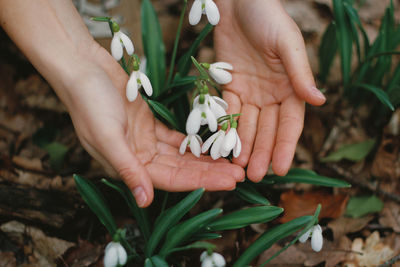 Cropped hand of woman holding flowers