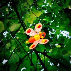 Low angle view of leaves on tree