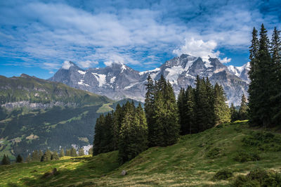 Scenic view from panorama trail to eiger, mönch and jungfrau, mürren, switzerland