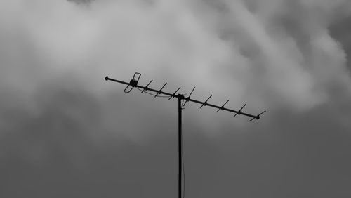 Low angle view of a bird