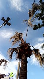 Low angle view of tree against sky