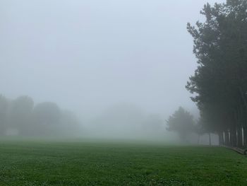 Scenic view of grassy field against sky during foggy weather