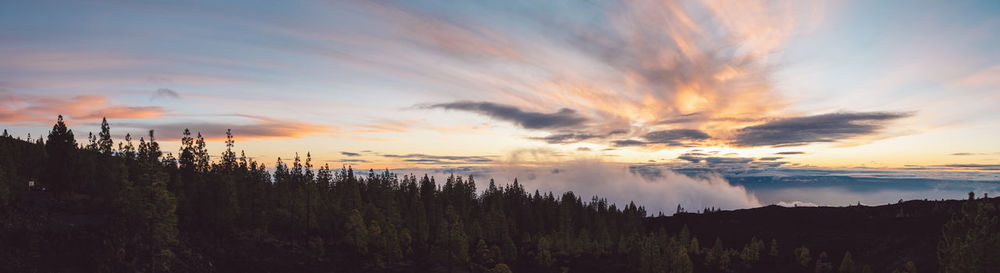 Panoramic view of trees against sky during sunset