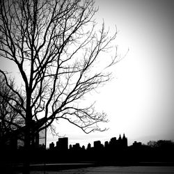 Silhouette bare tree and buildings against sky at dusk