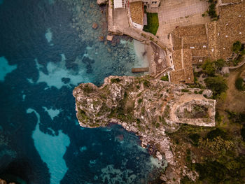 High angle view of turtle in sea