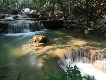 Scenic view of waterfall in forest