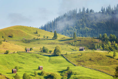 Scenic view of landscape against sky