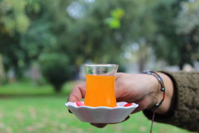 Midsection of person holding tea cup