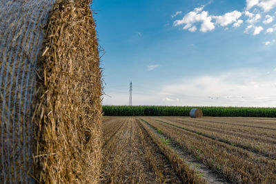 Hay bales in wheat field against sky