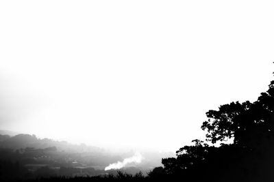 Low angle view of silhouette trees against clear sky