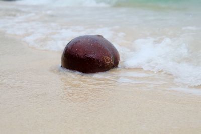 Close-up of surf on beach