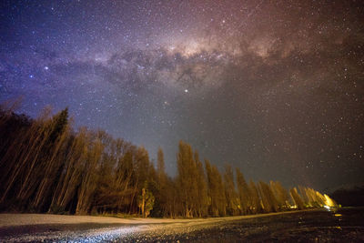 Amazing milky way view over lake wanaka and willow tree.that wanaka tree.