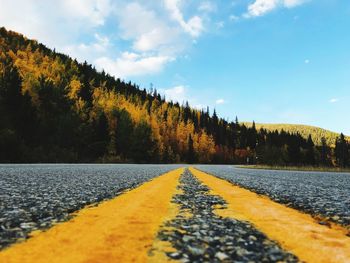 Surface level of road amidst trees against sky