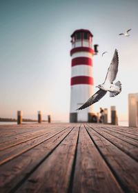 Seagull flying over pier against sky