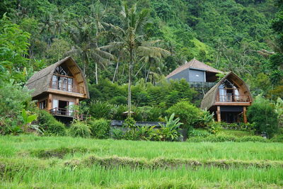 The beautiful villa is full of plants and flowers with a tropical feel, karangasem, bali, indonesia