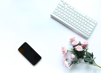 Low angle view of pink flowers on table against white background